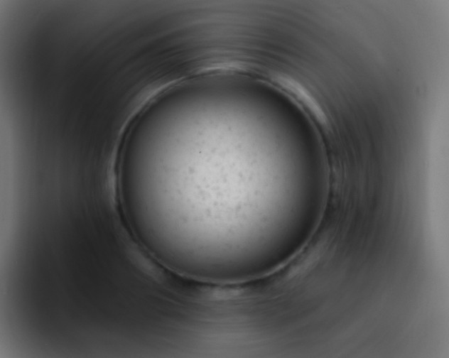 X0000093170890200710031502
