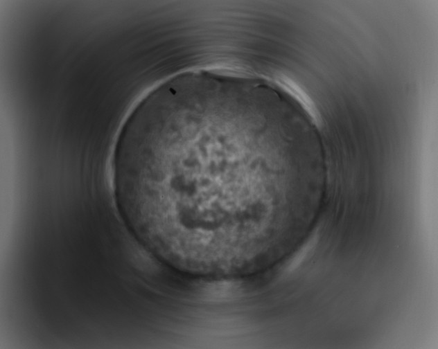 X0000093170891200710031502