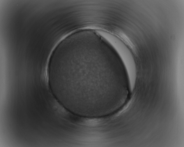 X0000093170892200710031502