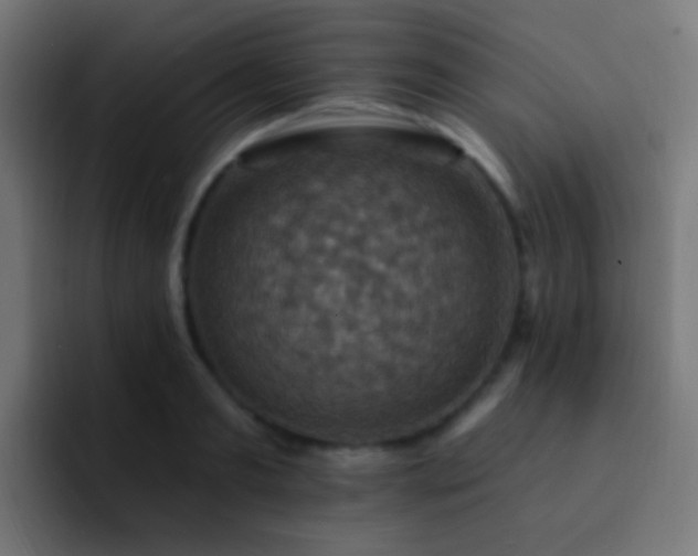 X0000093170893200710031502