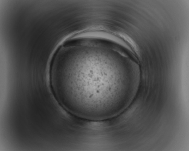X0000093170894200710031502
