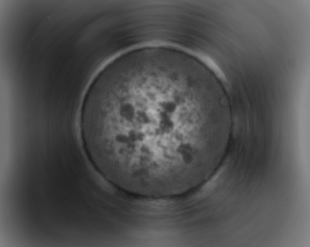 X0000093170895200710031502