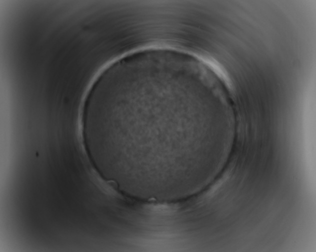 X0000093170896200710031502