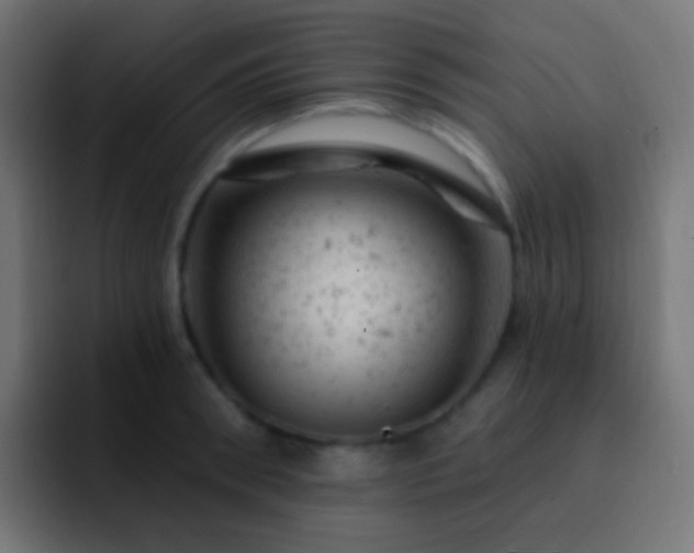 X0000093170898200710031502