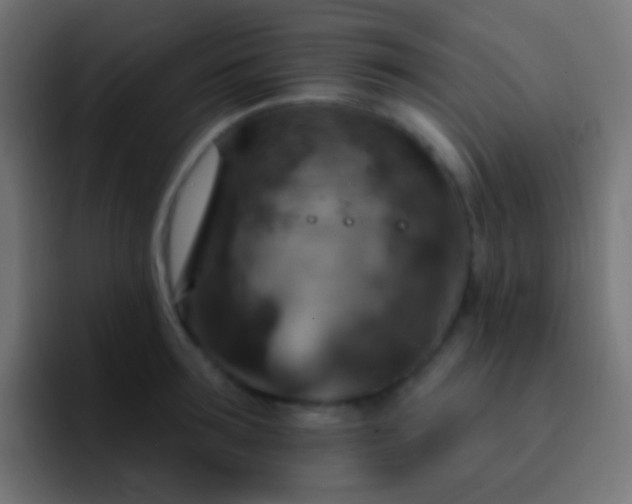 X0000093170899200710031502