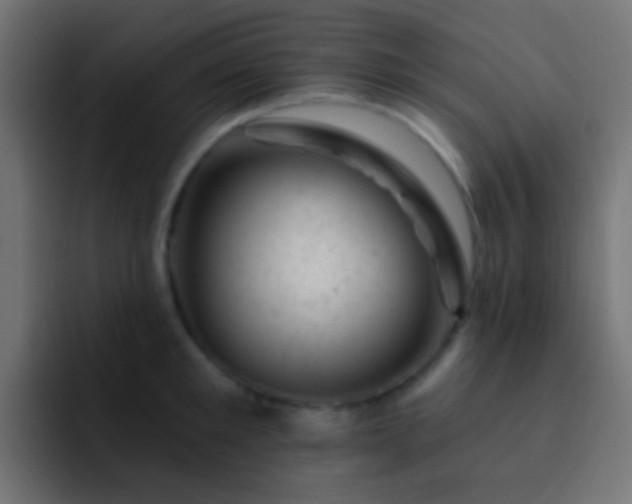 X0000093170901200710031502