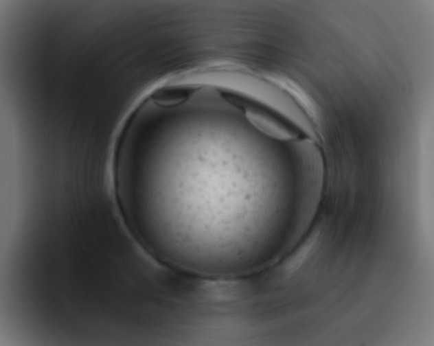 X0000093170902200710031501