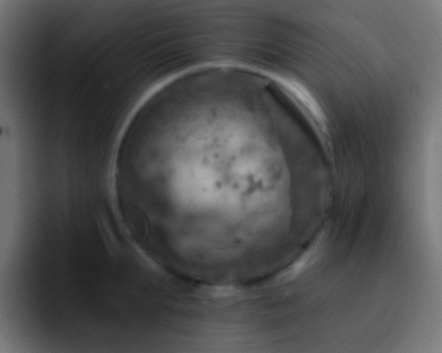 X0000093170903200710031501