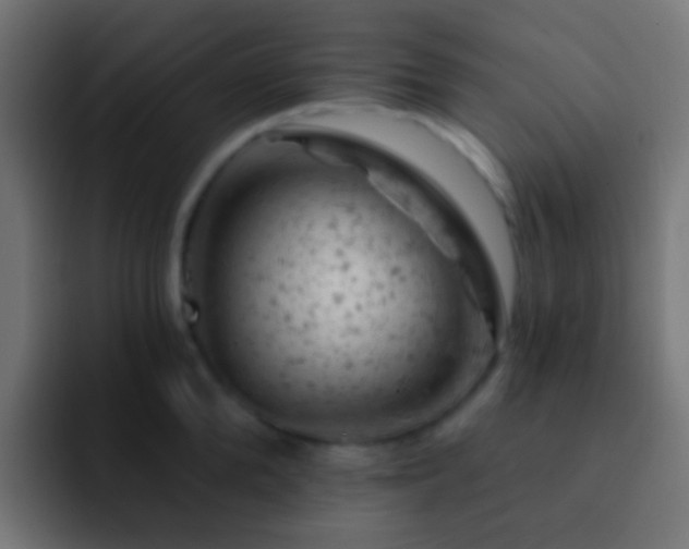 X0000093170904200710031501