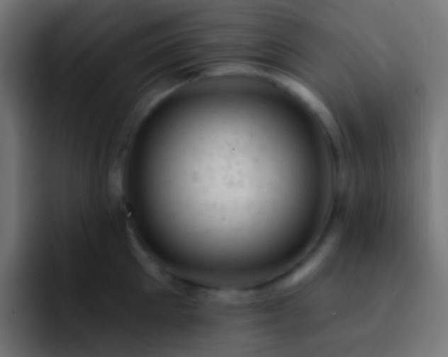 X0000093170905200710031501