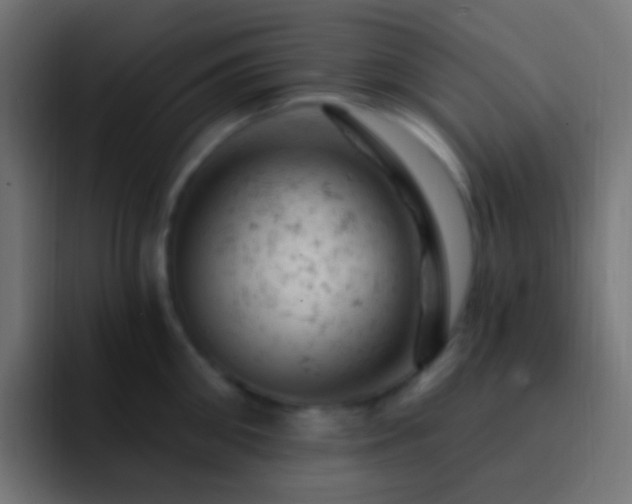 X0000093170906200710031501