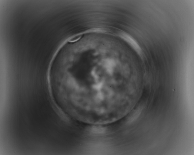 X0000093170907200710031501