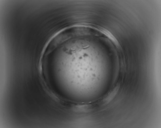 X0000093170908200710031501