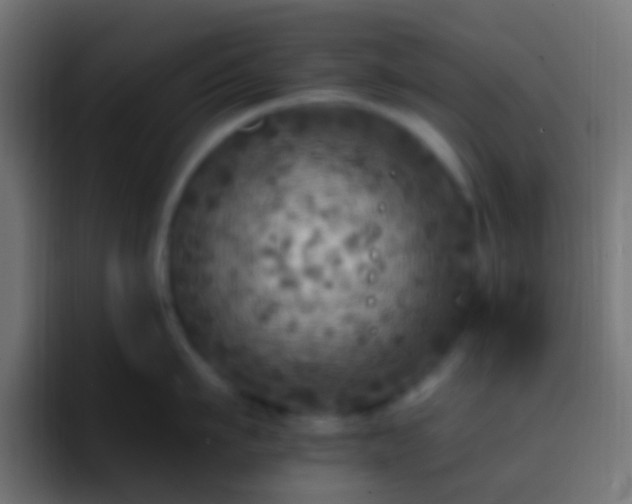 X0000093170911200710031501