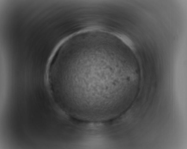 X0000093170912200710031501