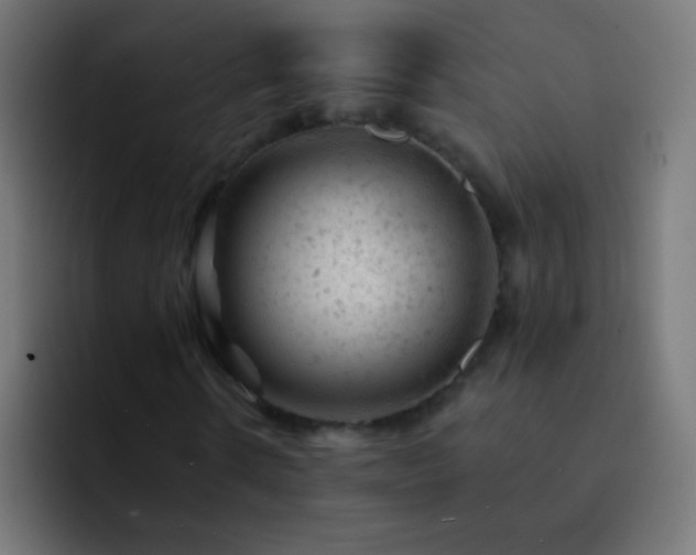 X0000093170914200710031501