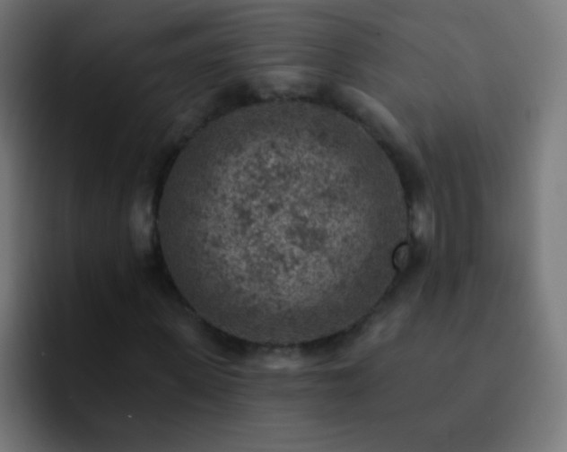 X0000093170915200710031501