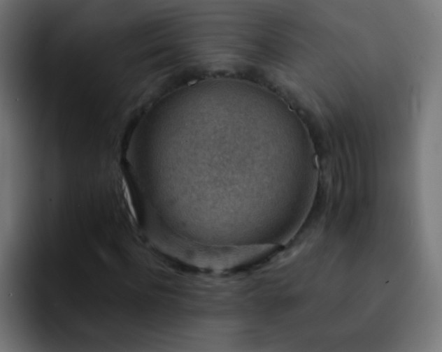 X0000093170916200710031501