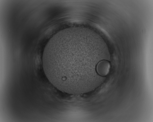 X0000093170918200710031501