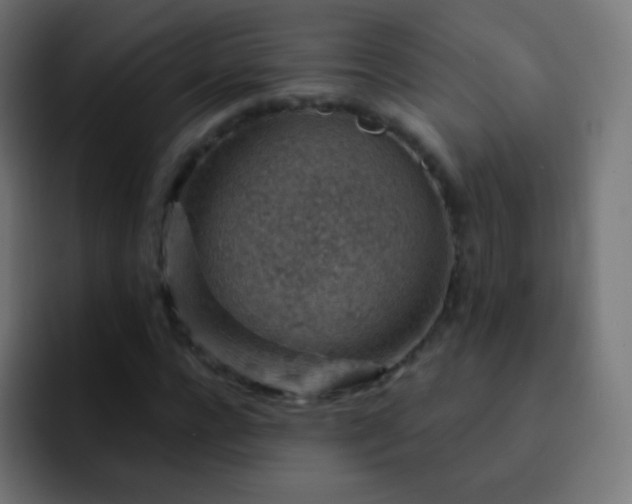 X0000093170920200710031501