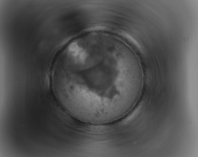 X0000093170921200710031501