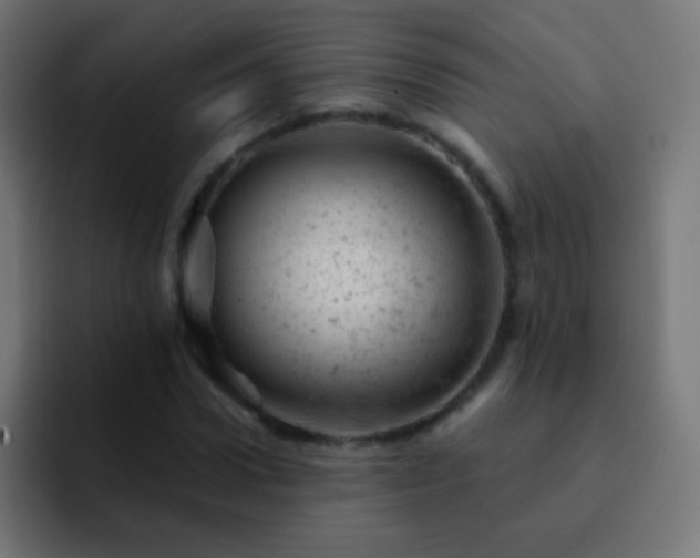 X0000093170922200710031501