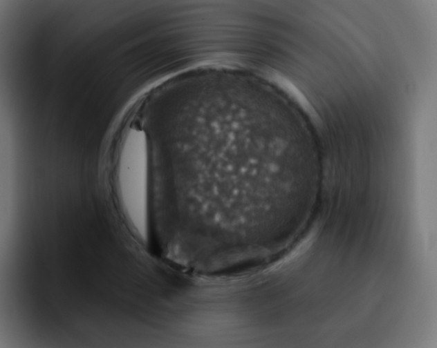 X0000093170923200710031501
