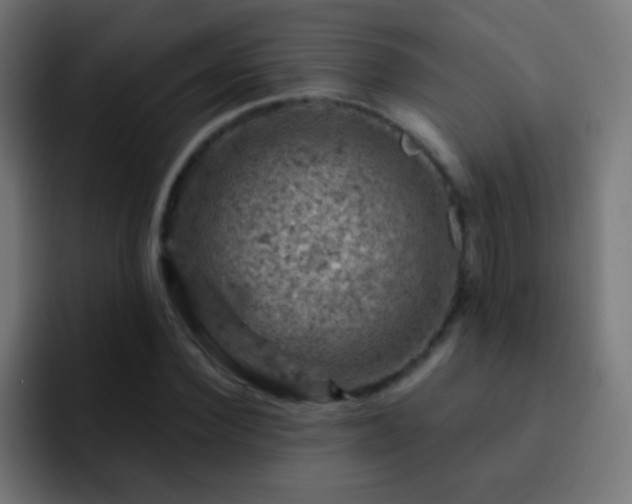 X0000093170924200710031501
