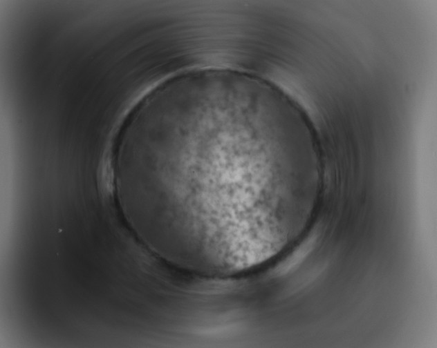 X0000093170925200710031501