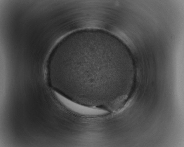 X0000093170926200710031501