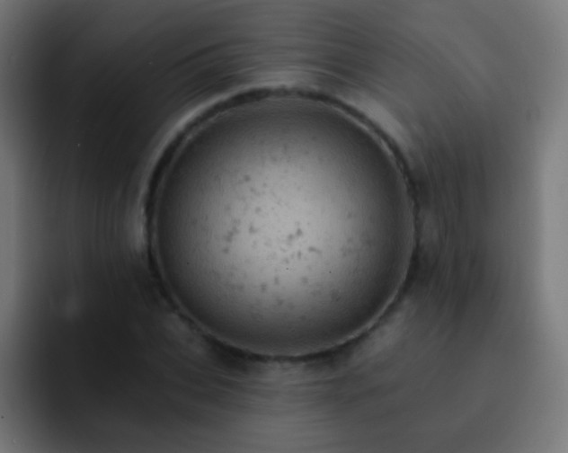 X0000093170927200710031501