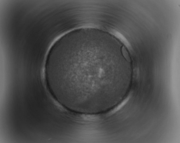 X0000093170928200710031501
