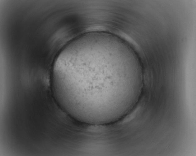 X0000093170929200710031501