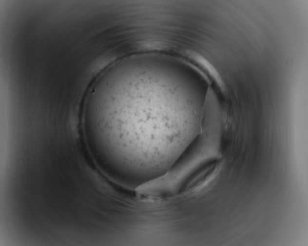 X0000093170930200710031501