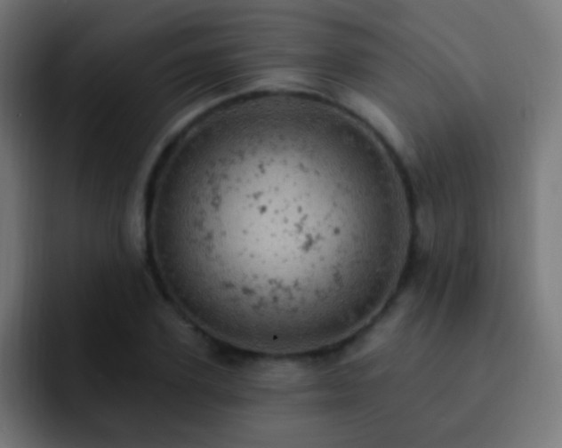 X0000093170931200710031501
