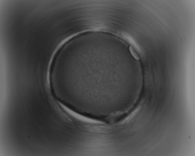 X0000093170932200710031501