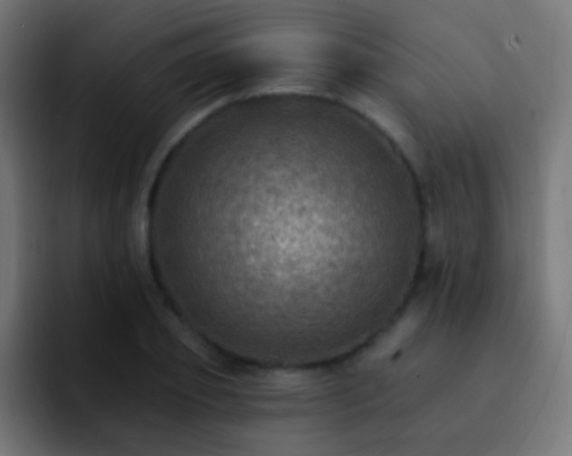 X0000093170933200710031501