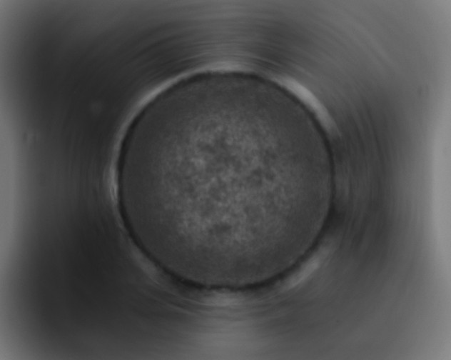 X0000093170935200710031501