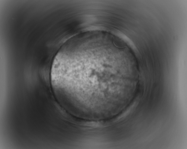 X0000093170937200710031501