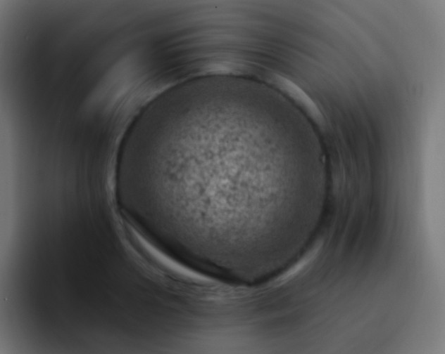 X0000093170938200710031501