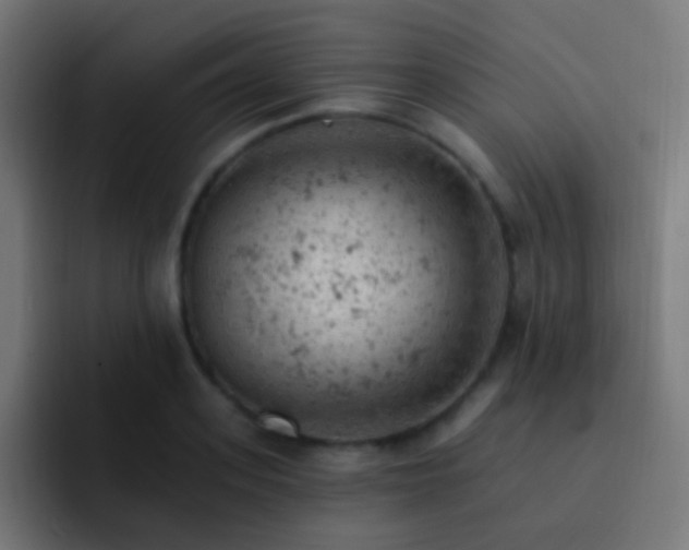 X0000093170939200710031501