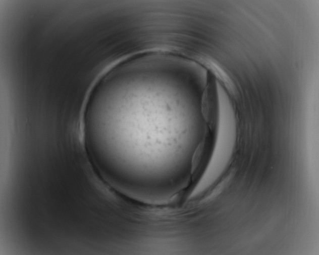 X0000093170940200710031501