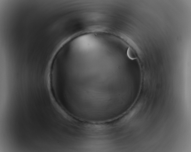 X0000093170941200710031501