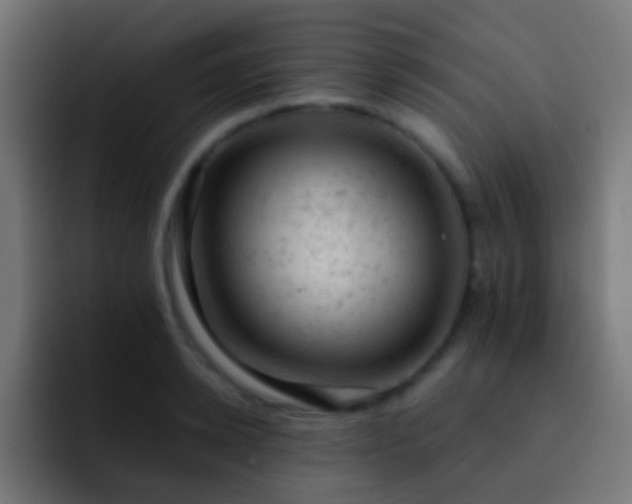 X0000093170942200710031501