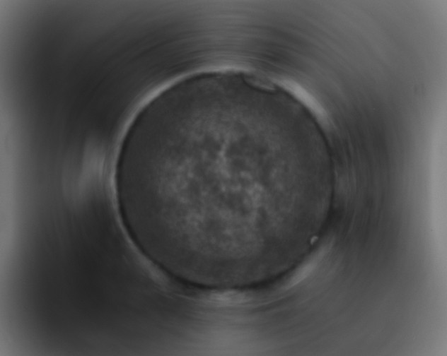 X0000093170943200710031501