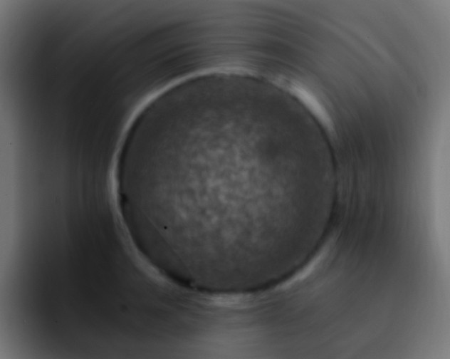 X0000093170944200710031501
