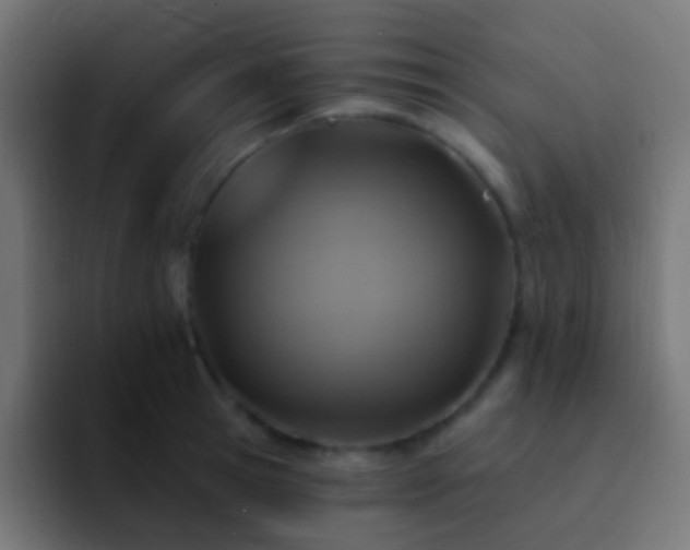 X0000093170945200710031501