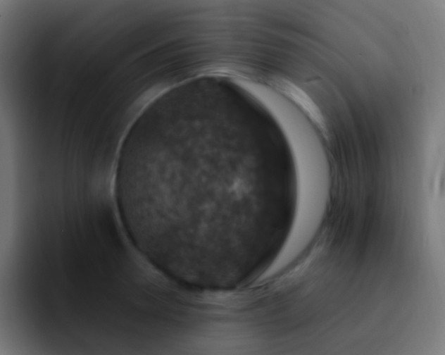 X0000093170946200710031501