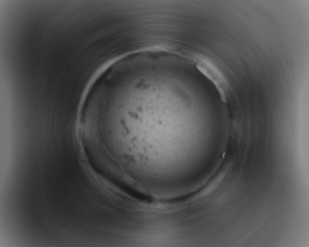 X0000093170948200710031501