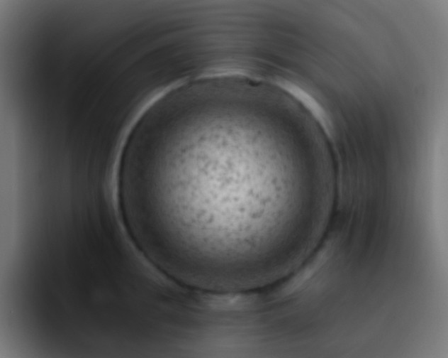 X0000093170949200710031501